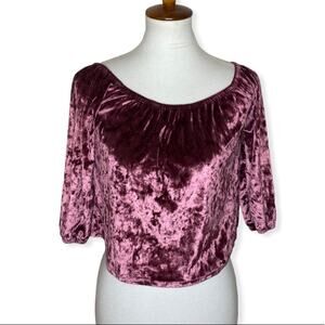 Hollister Rose Velour Cropped Top